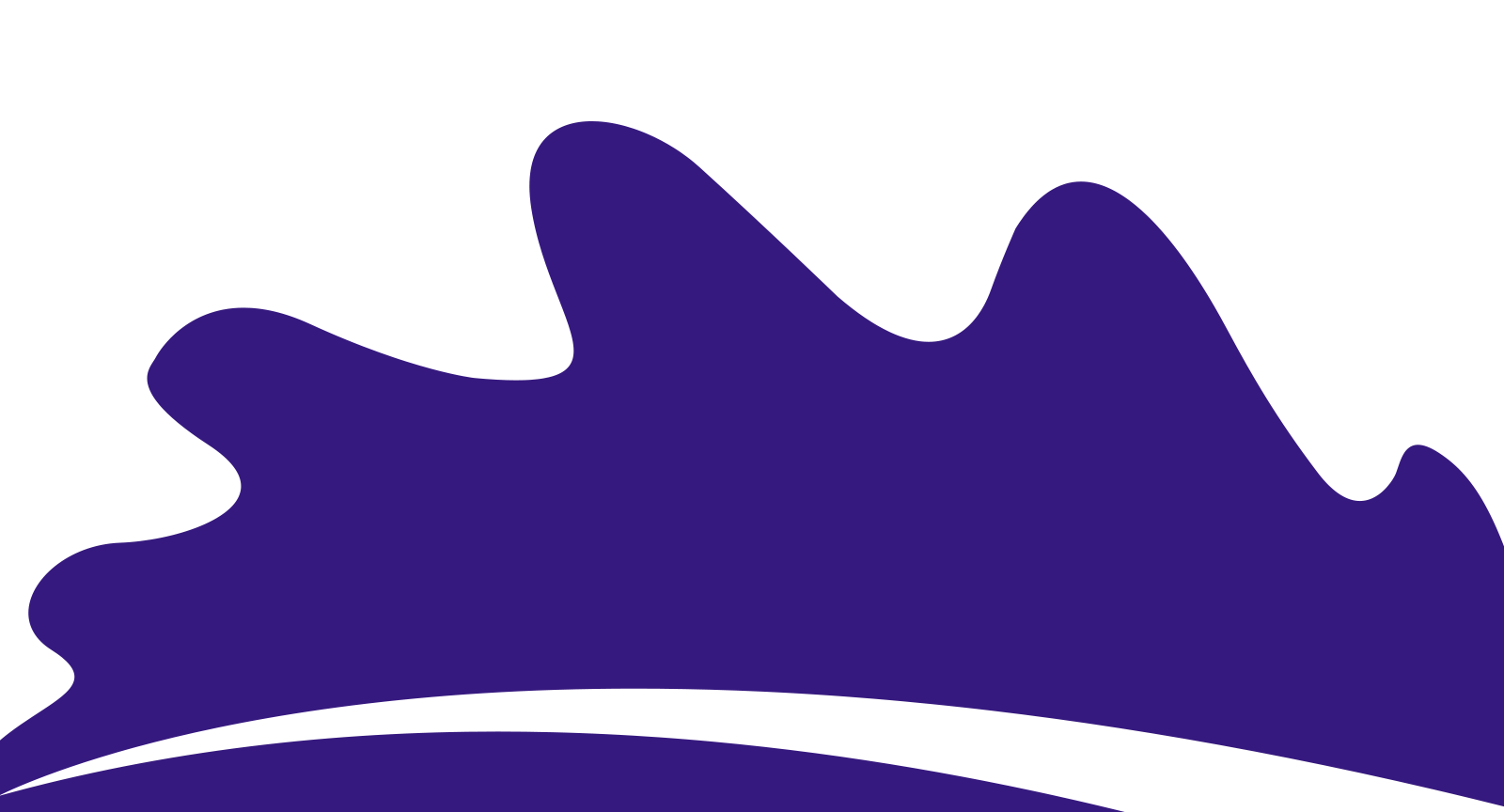 纯净版清爽的攻击网站在线工具